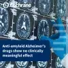 能夠減少大腦中異常蛋白質累積的藥物（抗澱粉樣蛋白單株抗體）是否能有效治療阿茲海默症引起的輕度認知障礙或輕度癡呆症患者？它們是否會產生不良反應？