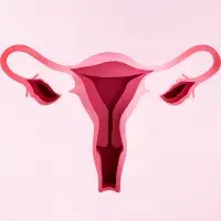 ovarian cancer